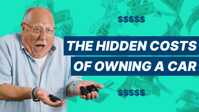 Long-term financial implications of owning a car