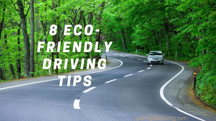 Driving schools with a focus on eco-friendly driving