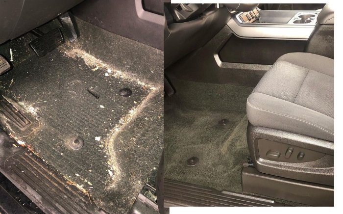 Tips for removing pet hair from car upholstery