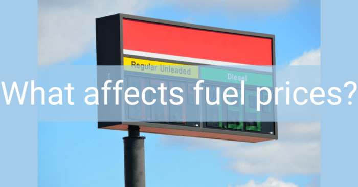 Impact of fuel prices on car purchasing decisions
