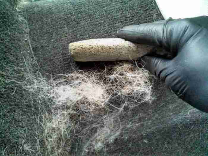 Tips for removing pet hair from car upholstery