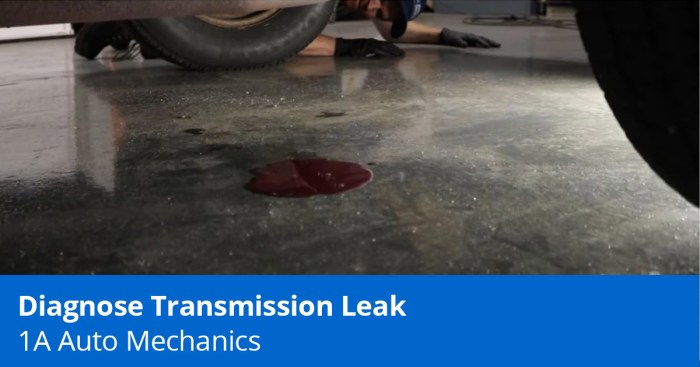 Identifying potential car manual transmission leaks
